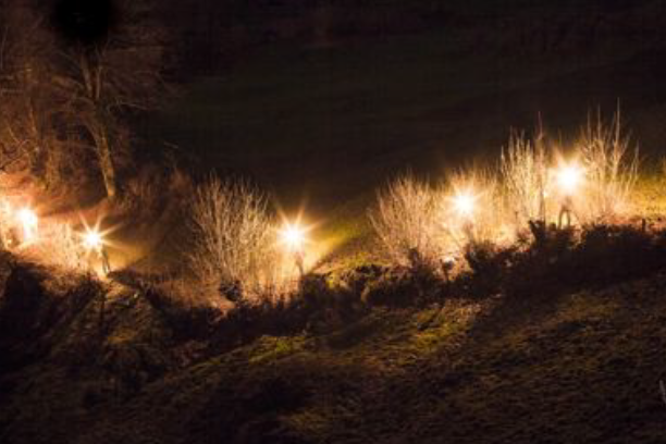 Bild von der Filmpremiere bei Morgarten Gräben, Mauern und Sümpfe